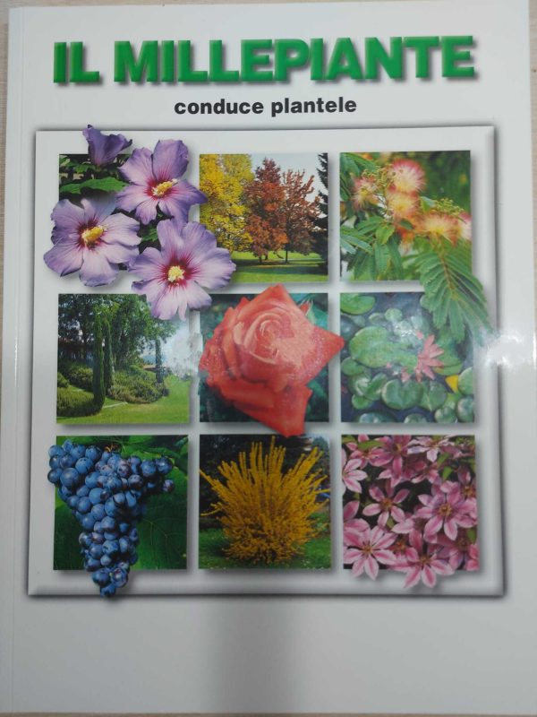 Catalog plante - IL MILLEPIANTE - imagine 3