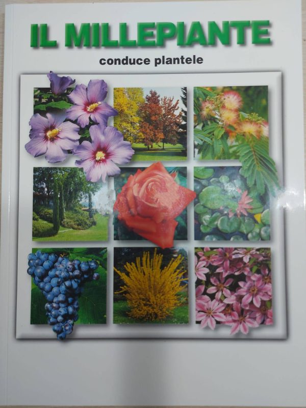 Catalog plante - IL MILLEPIANTE - imagine 2